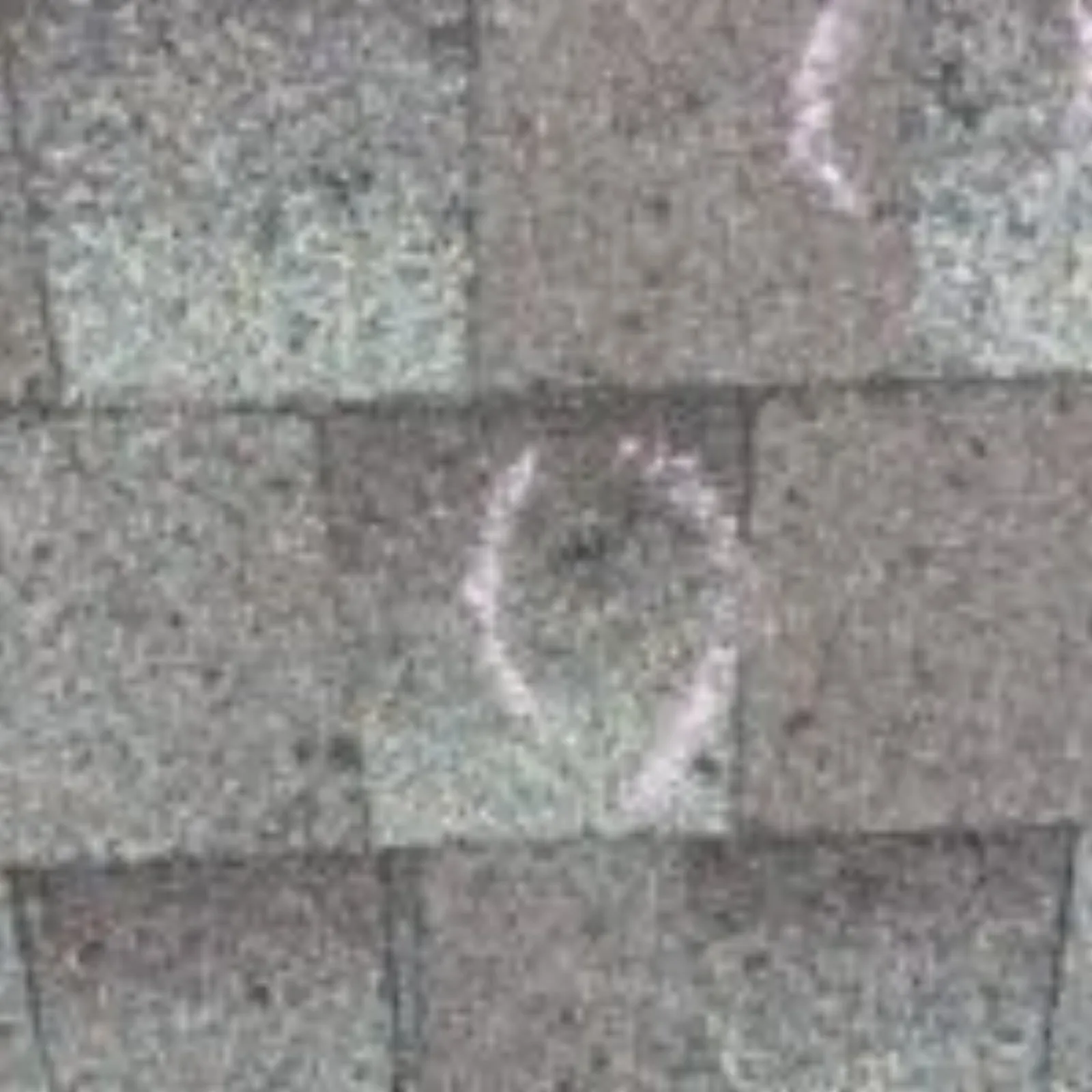 Chalk-circled hail impact on asphalt roof shingle showing granule displacement documented for an insurance claim