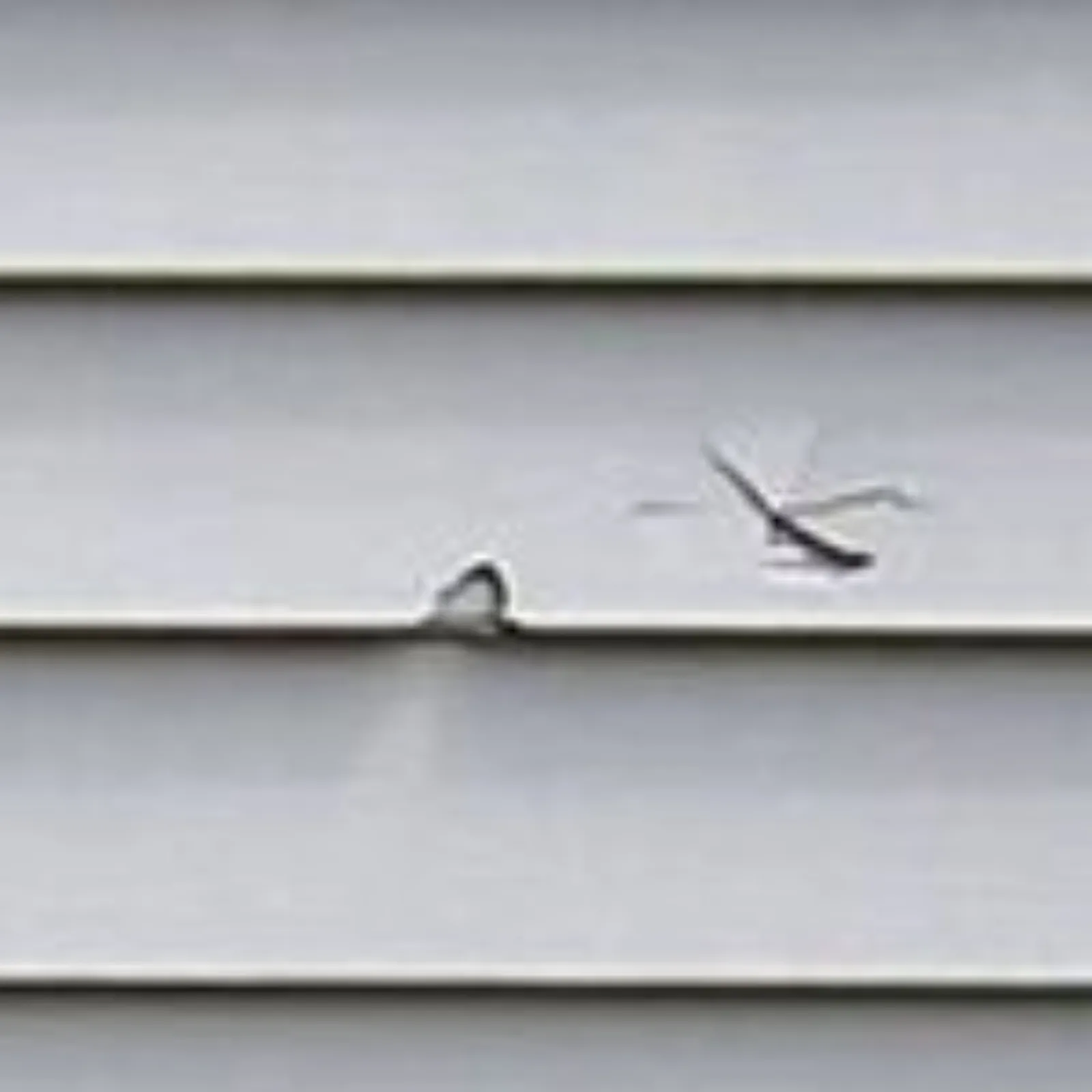 Close-up of hail puncture damage on gray vinyl siding requiring storm damage repair on a home exterior