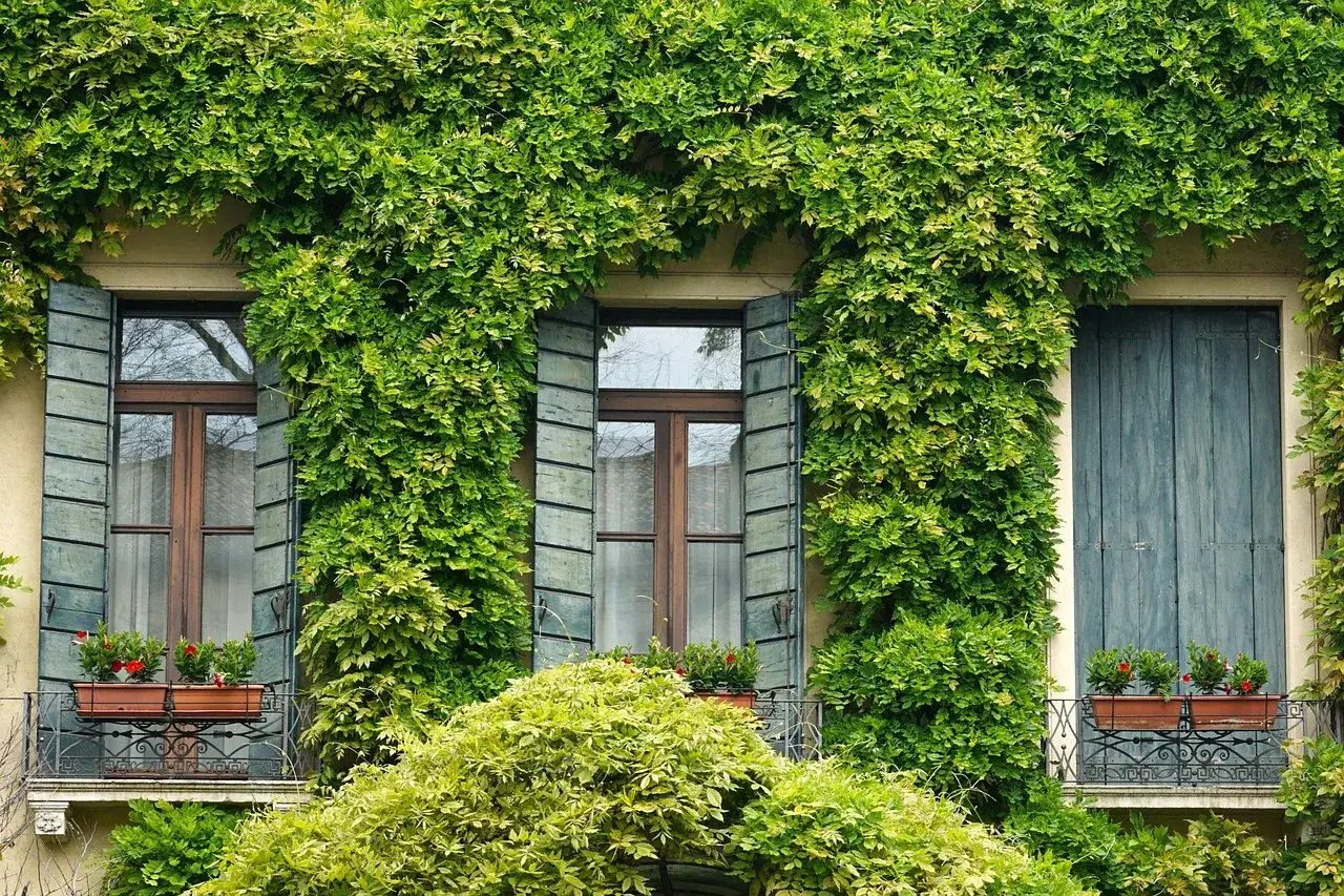 Freshly painted black exterior shutters framing white windows on a Minnesota home