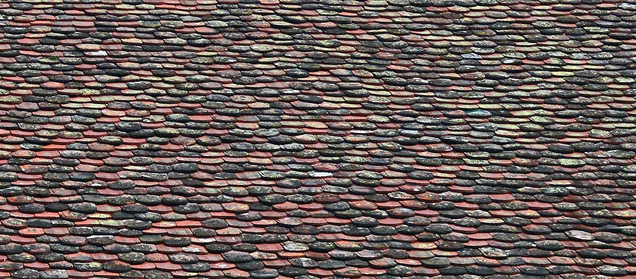 Side-by-side comparison of aging roof needing repair and newly installed roof on Minnesota home