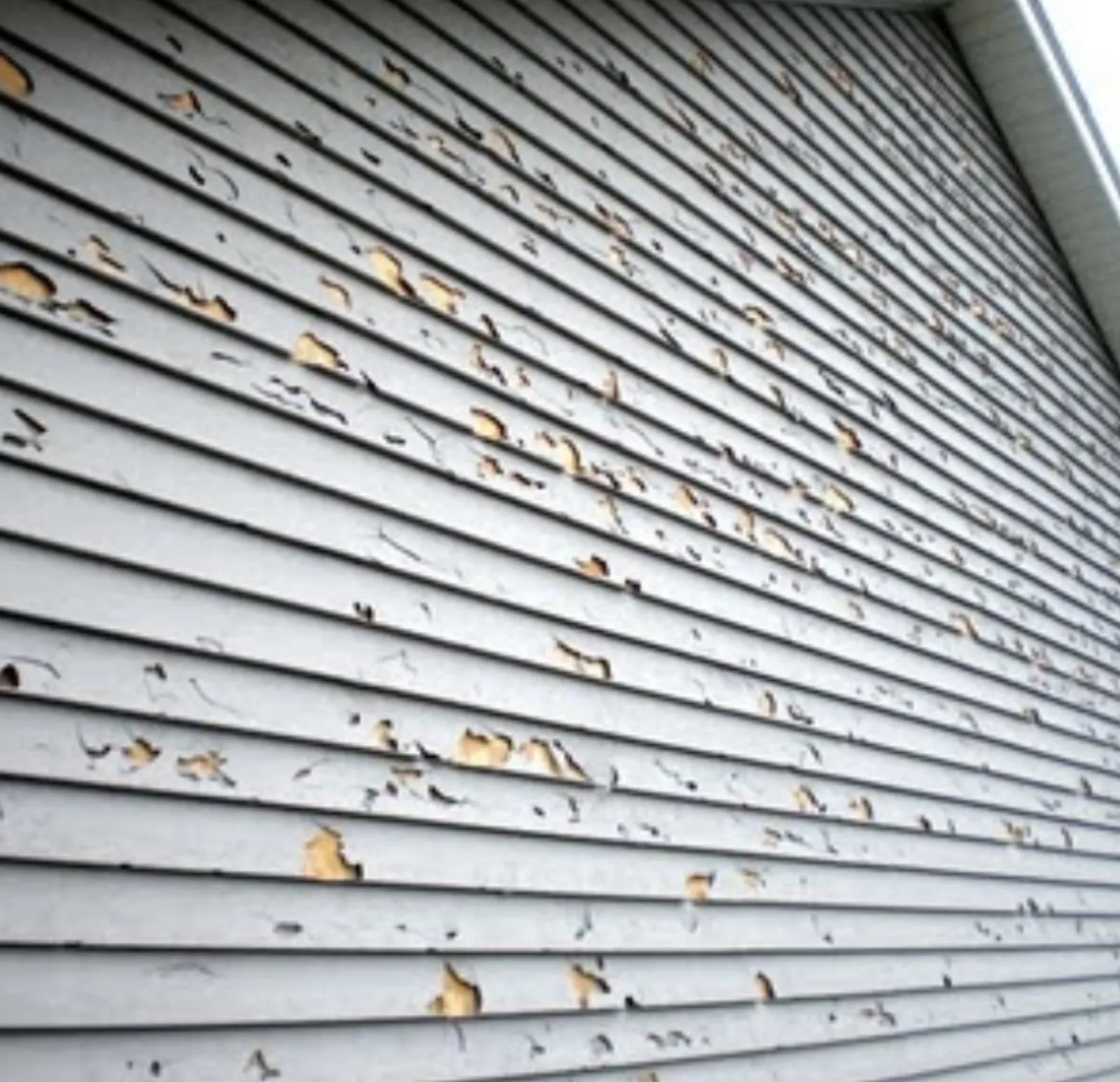 Severe hail damage to vinyl siding showing multiple puncture holes and cracks on a Minnesota home exterior