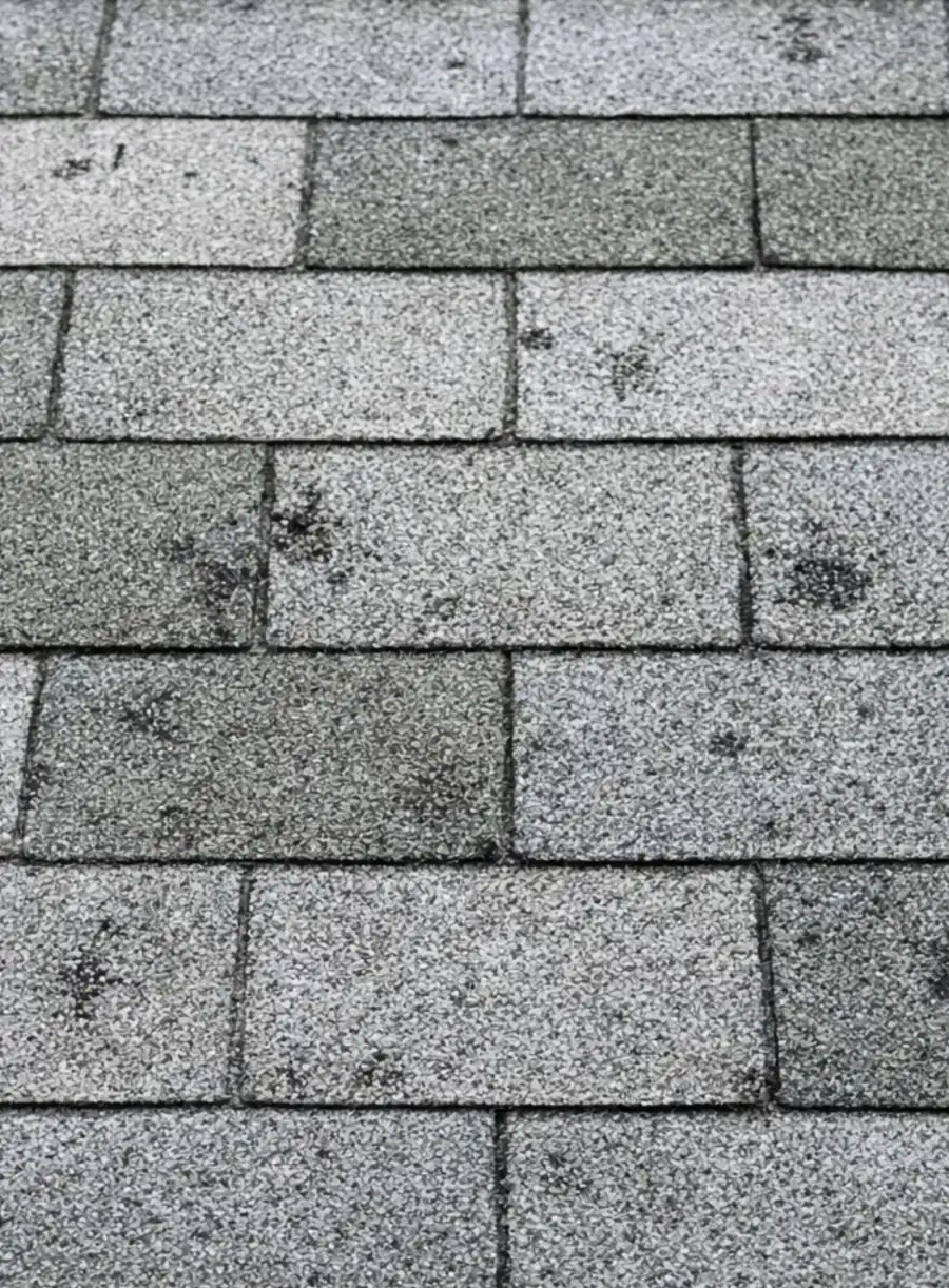 Close-up of asphalt shingles showing widespread granule loss and dark hail impact spots across the roof surface