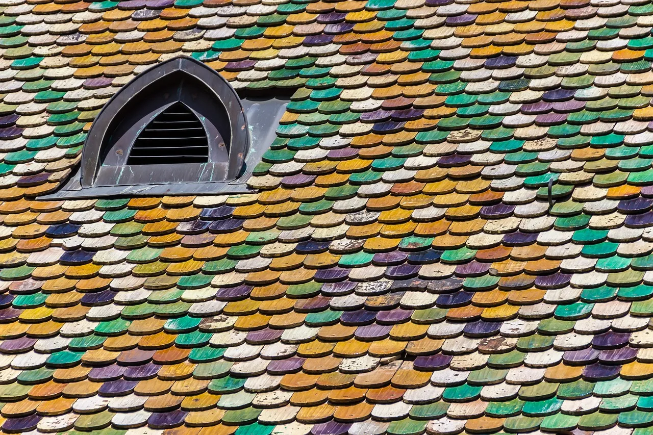 Wind-damaged asphalt shingles lifted and torn on a Minnesota residential roof after a storm