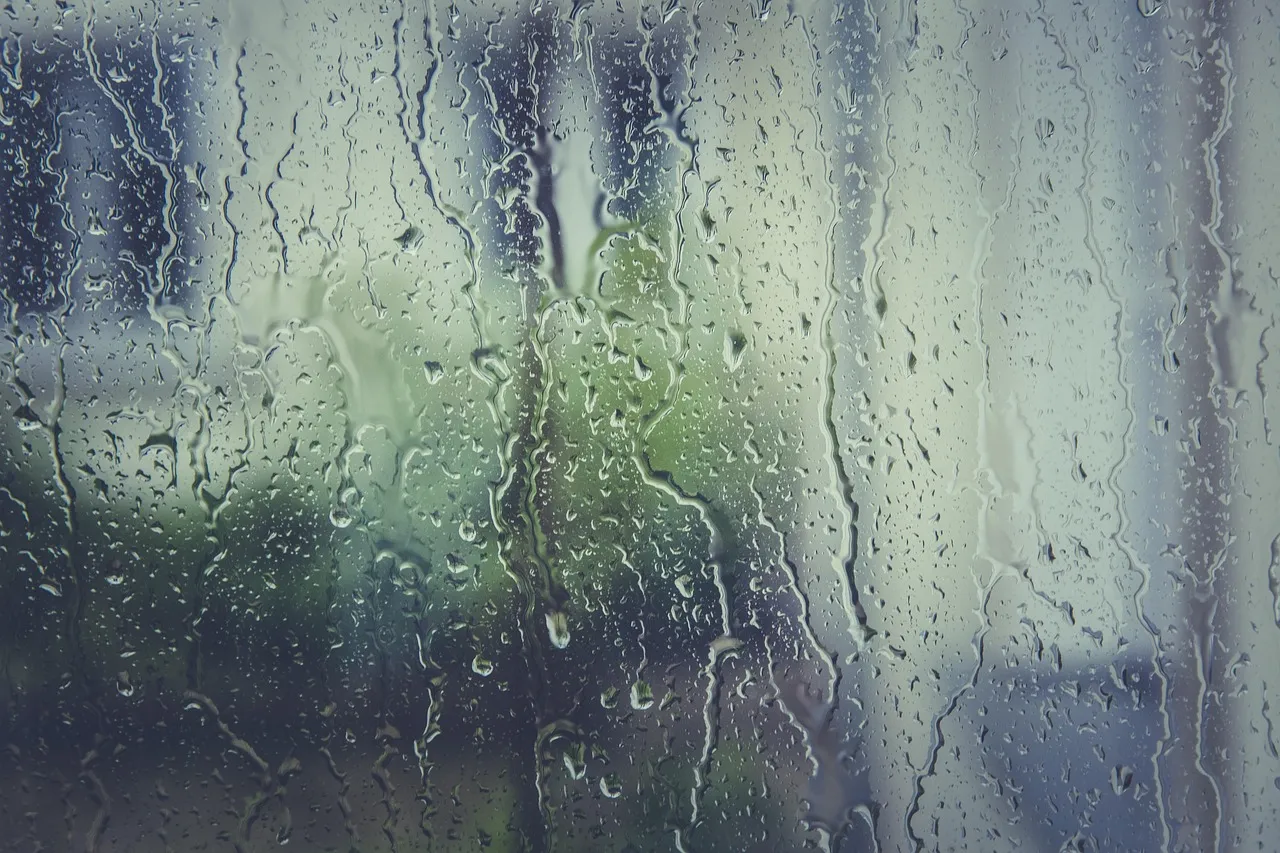 Close-up of condensation droplets forming on window glass during cold Minnesota morning