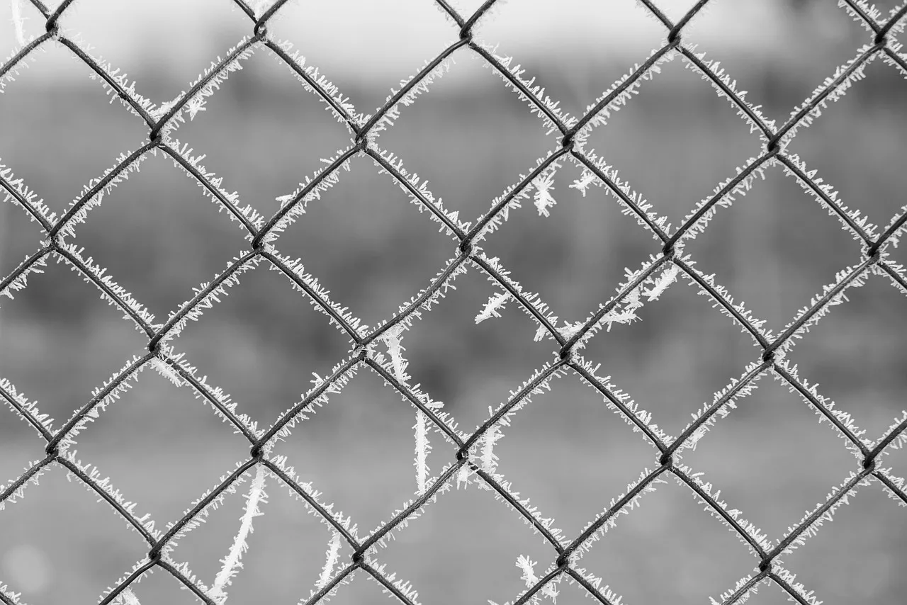 Various window grid patterns showing colonial, prairie, and craftsman styles on a residential home