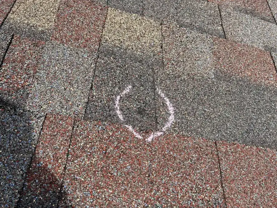 Chalk circle marking hail impact crater on asphalt shingles during roof inspection